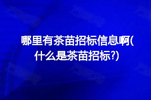 https://jian-housekeeper.oss-cn-beijing.aliyuncs.com/news/bannerImage/114516.jpg