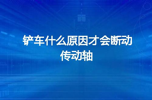 https://jian-housekeeper.oss-cn-beijing.aliyuncs.com/news/bannerImage/146561.jpg