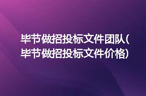 毕节做招投标文件团队(毕节做招投标文件价格)