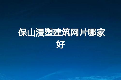 保山浸塑建筑网片哪家好