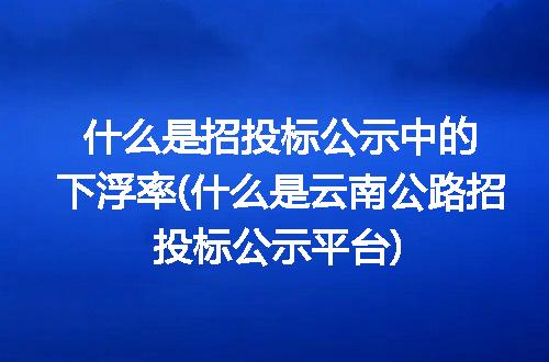 什么是招投标公示中的下浮率(什么是云南公路招投标公示平台)