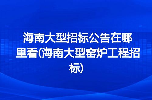 海南大型招标公告在哪里看(海南大型窑炉工程招标)