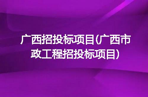 广西招投标项目(广西市政工程招投标项目)