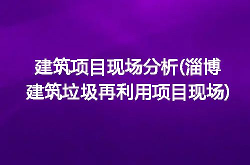 建筑项目现场分析(淄博建筑垃圾再利用项目现场)