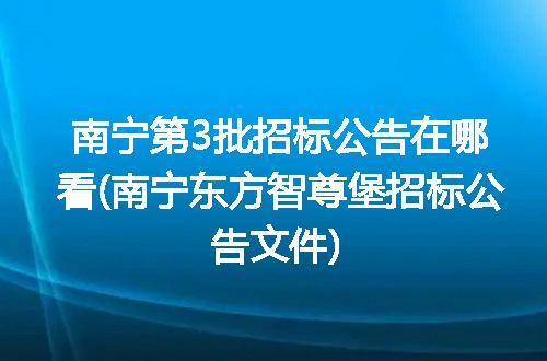 南宁第3批招标公告在哪看(南宁东方智尊堡招标公告文件)