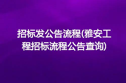 招标发公告流程(雅安工程招标流程公告查询)