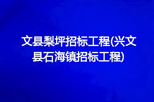 文县梨坪招标工程(兴文县石海镇招标工程)