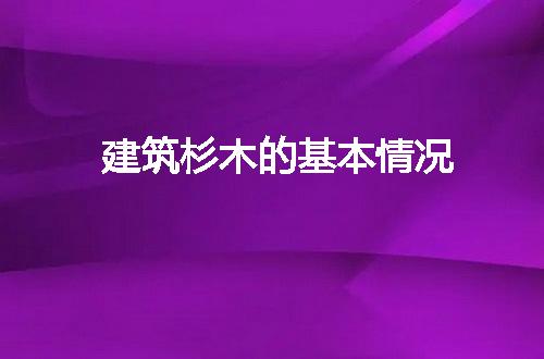https://jian-housekeeper.oss-cn-beijing.aliyuncs.com/news/bannerImage/310658.jpg