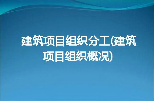 建筑项目组织分工(建筑项目组织概况)