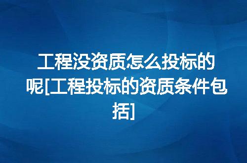 工程没资质怎么投标的呢[工程投标的资质条件包括]