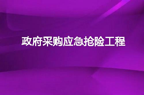 政府采购应急抢险工程