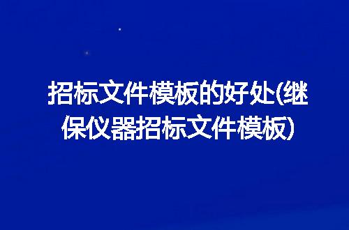 招标文件模板的好处(继保仪器招标文件模板)