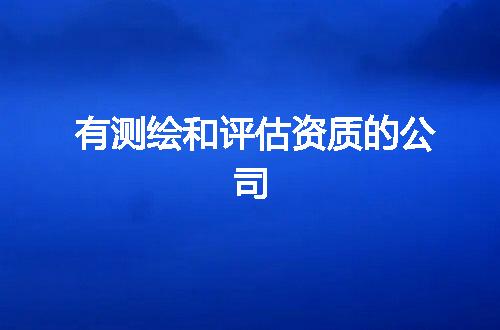 有测绘和评估资质的公司