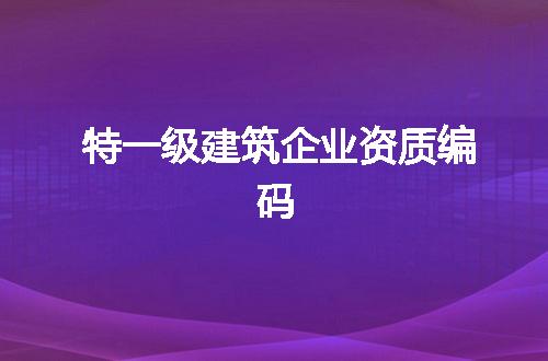 特一级建筑企业资质编码
