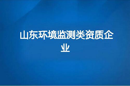 山东环境监测类资质企业