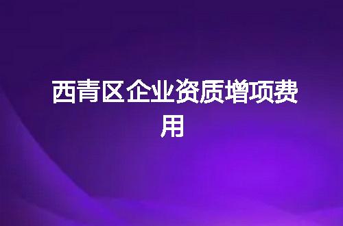 西青区企业资质增项费用