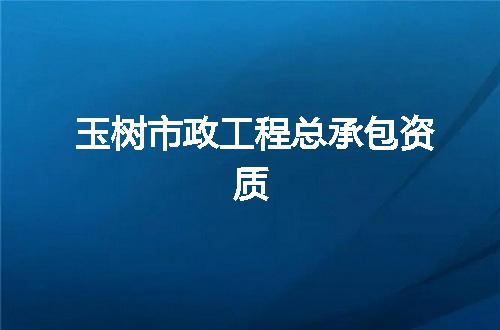 玉树市政工程总承包资质