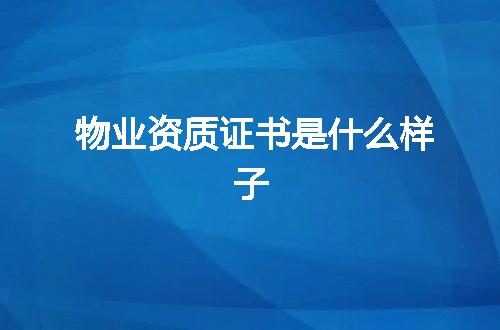 https://jian-housekeeper.oss-cn-beijing.aliyuncs.com/news/bannerImage/378904.jpg
