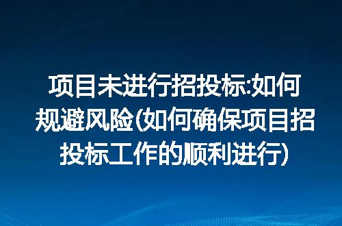 项目未进行招投标:如何规避风险(如何确保项目招投标工作的顺利进行)