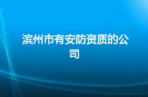 滨州市有安防资质的公司