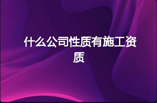 什么公司性质有施工资质