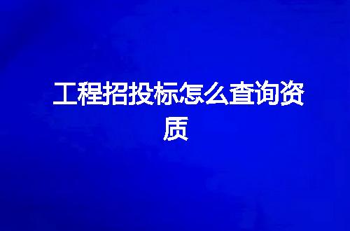 工程招投标怎么查询资质