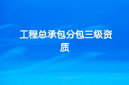 工程总承包分包三级资质