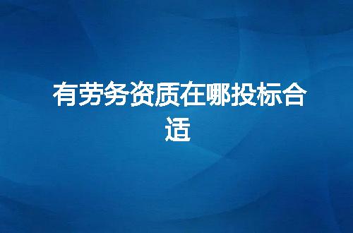 有劳务资质在哪投标合适