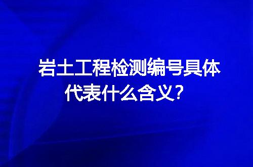 岩土工程检测编号具体代表什么含义？