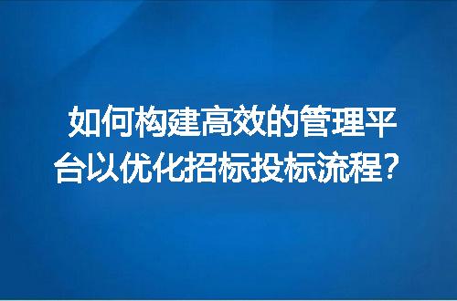 如何构建高效的管理平台以优化招标投标流程？
