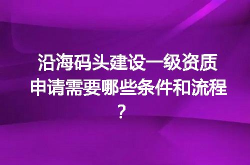 沿海码头建设一级资质申请需要哪些条件和流程？