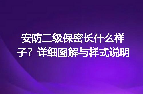 安防二级保密长什么样子？详细图解与样式说明