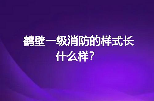 鹤壁一级消防的样式长什么样？