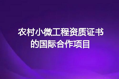 农村小微工程资质证书的国际合作项目