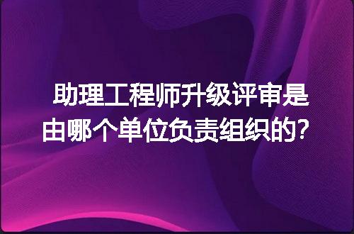 助理工程师升级评审是由哪个单位负责组织的？