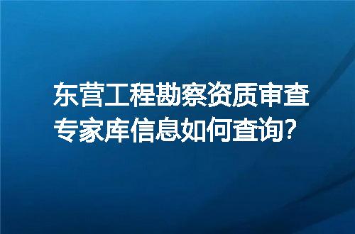 东营工程勘察资质审查专家库信息如何查询？