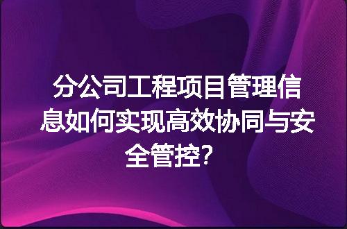 分公司工程项目管理信息如何实现高效协同与安全管控？