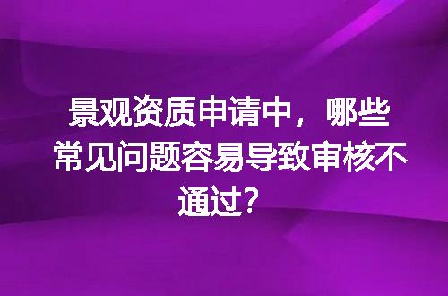 景观资质申请中，哪些常见问题容易导致审核不通过？