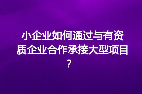 小企业如何通过与有资质企业合作承接大型项目？
