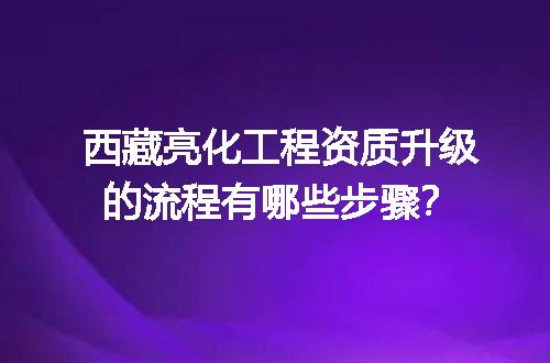 西藏亮化工程资质升级的流程有哪些步骤？
