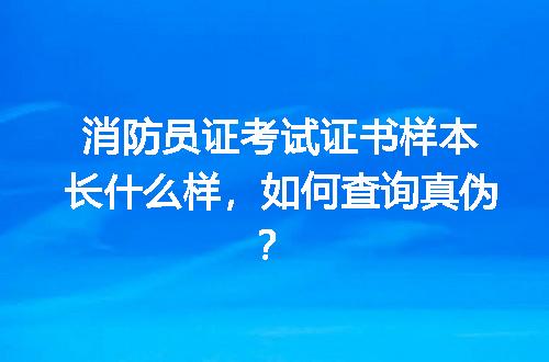 消防员证考试证书样本长什么样，如何查询真伪？