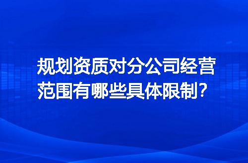 规划资质对分公司经营范围有哪些具体限制？