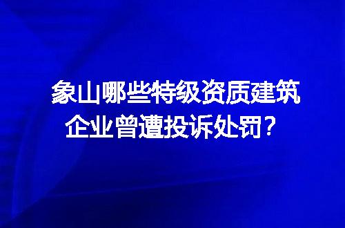 象山哪些特级资质建筑企业曾遭投诉处罚？