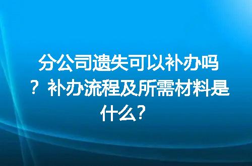 分公司遗失可以补办吗？补办流程及所需材料是什么？