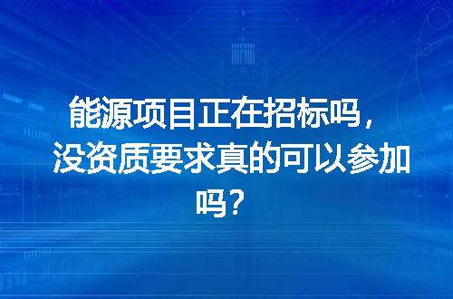 能源项目正在招标吗，没资质要求真的可以参加吗？