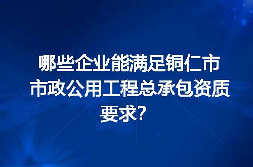 哪些企业能满足铜仁市市政公用工程总承包资质要求？