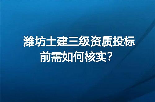 潍坊土建三级资质投标前需如何核实？