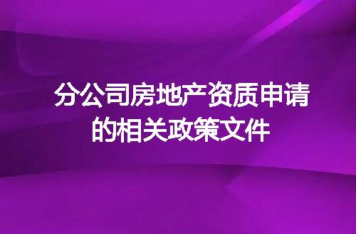 分公司房地产资质申请的相关政策文件