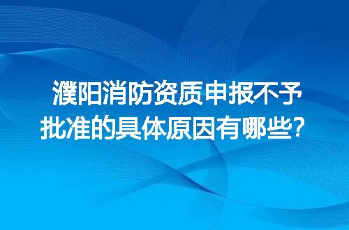濮阳消防资质申报不予批准的具体原因有哪些？