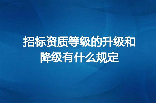 招标资质等级的升级和降级有什么规定